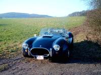 MARTINS RANCH Shelby Cobra  